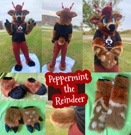 Peppermint (full partial)- Oct 2022