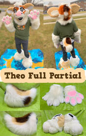 Theo (full partial)- Dec 2022 Theo (full partial)- Dec 2022