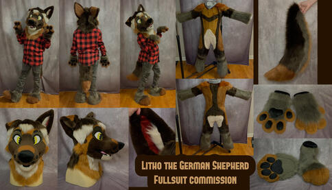 Litho (fullsuit)- Nov 2023 Litho (fullsuit)- Nov 2023