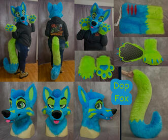 Dop (full partial)- Dec 2023 Dop (full partial)- Dec 2023