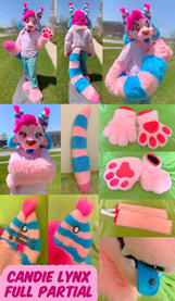 Candie Lynx (full partial)- Apr 2023