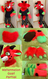 Watermelon Goat (full partial)- Feb 2023 Watermelon Goat (full partial)- Feb 2023