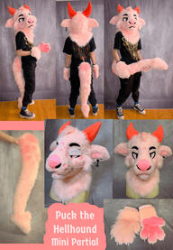 Puck (mini partial)- Sept 2023 Puck (mini partial)- Sept 2023