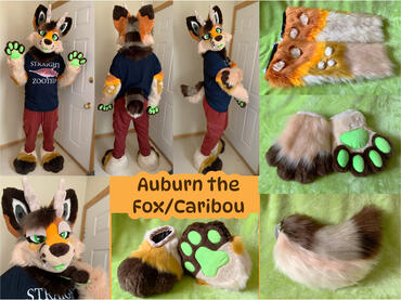 Auburn (full partial)- Mar 2023