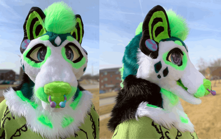 Zion (head)- Jan 2023 Zion (head)- Jan 2023