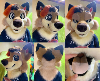 Tony (head)- May 2023