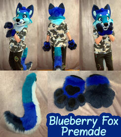 Blueberry Fox Premade (mini partial)- Aug 2023 Blueberry Fox Premade (mini partial)- Aug 2023
