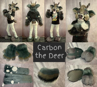 Carbon (full partial + extra feetpaws)- Aug 2023 Carbon (full partial + extra feetpaws)- Aug 2023