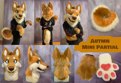 Autmn (mini partial)- Jan 2024 Autmn (mini partial)- Jan 2024