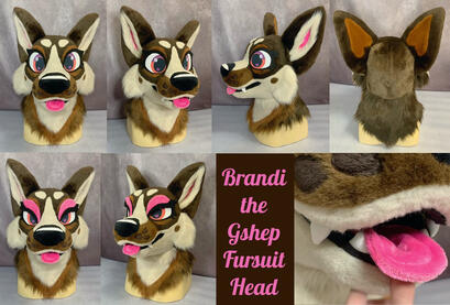 Brandi (head)- Sept 2024 Brandi (head)- Sept 2024
