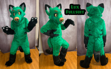 Luxtricity (fullsuit upgrade)- Feb 2024 Luxtricity (fullsuit upgrade)- Feb 2024