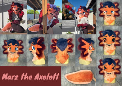 Marz (mini partial)- Oct 2025