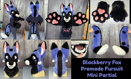 Blackberry Fox (mini partial)- July 2025