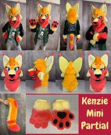 Kenzie (mini partial)- Jan 2025 Kenzie (mini partial)- Jan 2025