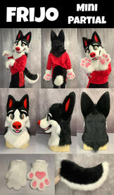 Frijo (mini partial)- Feb 2025 Frijo (mini partial)- Feb 2025