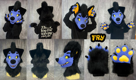 Fry (head + handpaws)- Nov 2025 Fry (head + handpaws)- Nov 2025