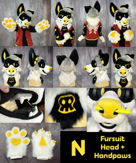 N (head + handpaws)- Feb 2026 N (head + handpaws)- Feb 2026