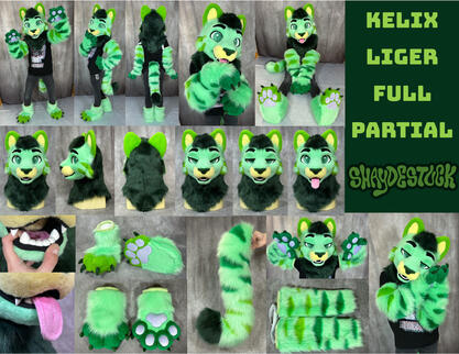 Kelix (full partial)- Aug 2026